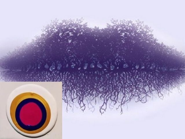 optical illusion lips